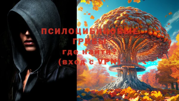 кокс Долгопрудный