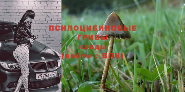 кокаин колумбия Горняк