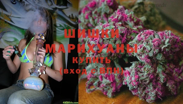 стафф Горно-Алтайск