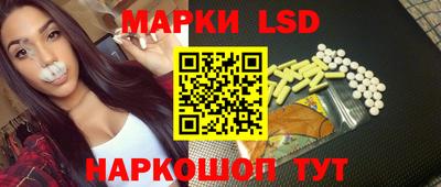 индика Будённовск