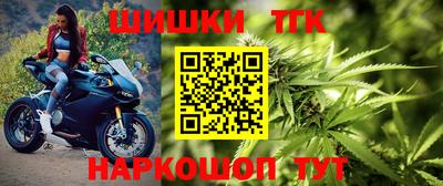 индика Будённовск