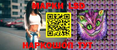 индика Будённовск