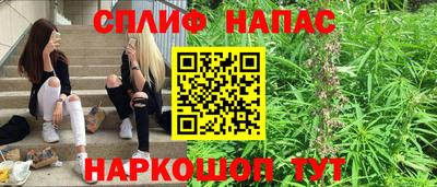 индика Будённовск