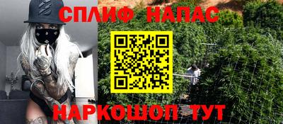 индика Будённовск