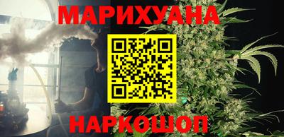 индика Будённовск
