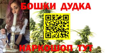 индика Будённовск