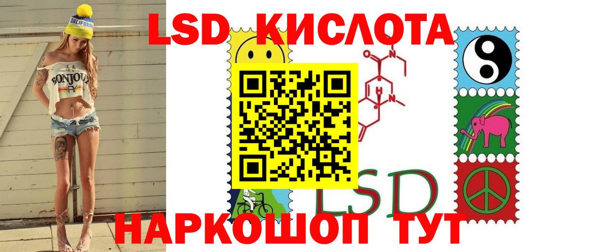 МЕФ Елизово