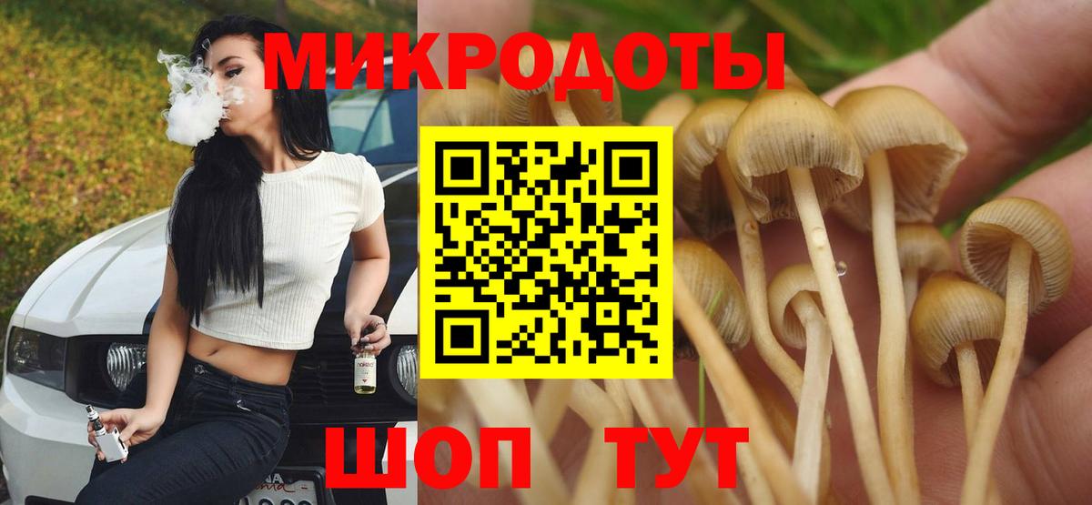 Галлюциногенные грибы мухоморы  Елизово  Псилоцибиновые грибы Magic Shrooms 