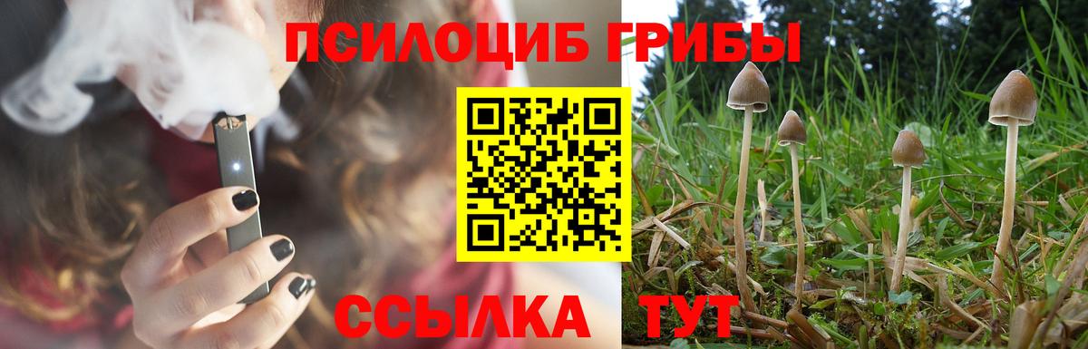 Галлюциногенные грибы GOLDEN TEACHER  Галлюциногенные грибы мицелий  Елизово  Вход с VPN 