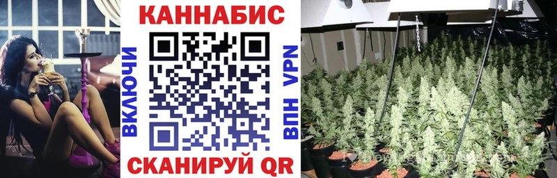 гидра сайт  Елизово  Шишки марихуана Ganja 